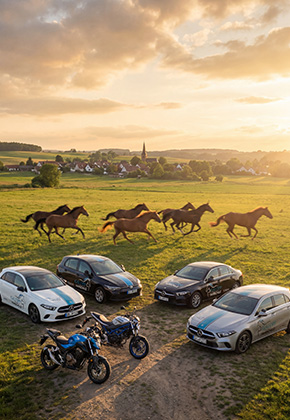 fahrschulegalopp.de